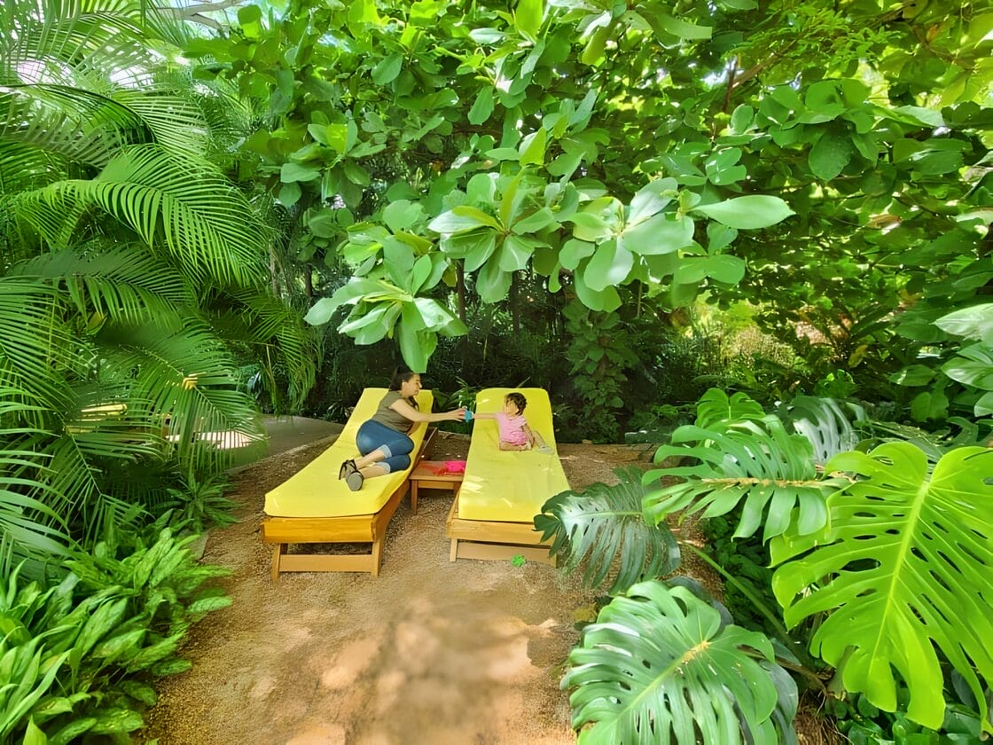 Capitan Suizo Resort - Tamarindo, Costa Rica Two people lounging on yellow sunbeds amidst lush greenery at Capitán Suizo Beachfront Boutique Hotel in Tamarindo, Costa Rica.