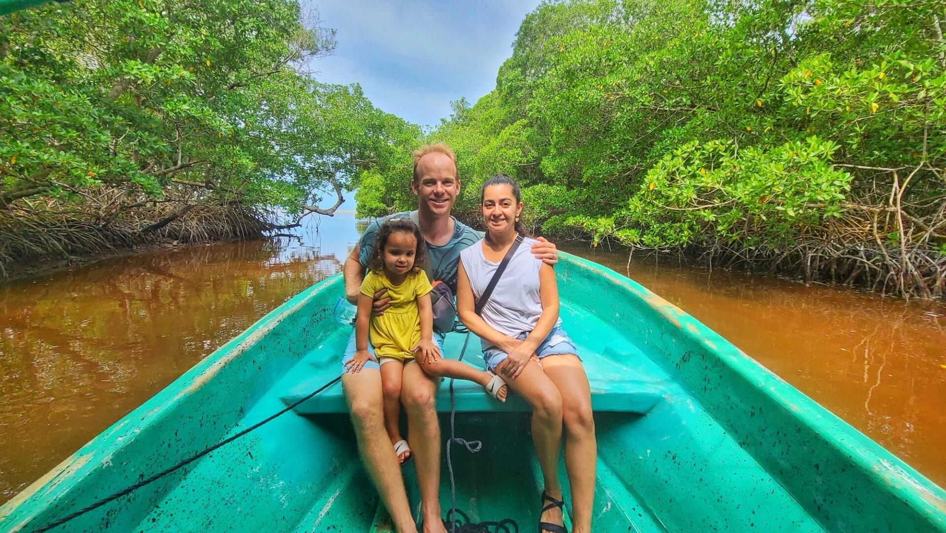 Celestun Mexico Mangroves - Wildlife near Cancun