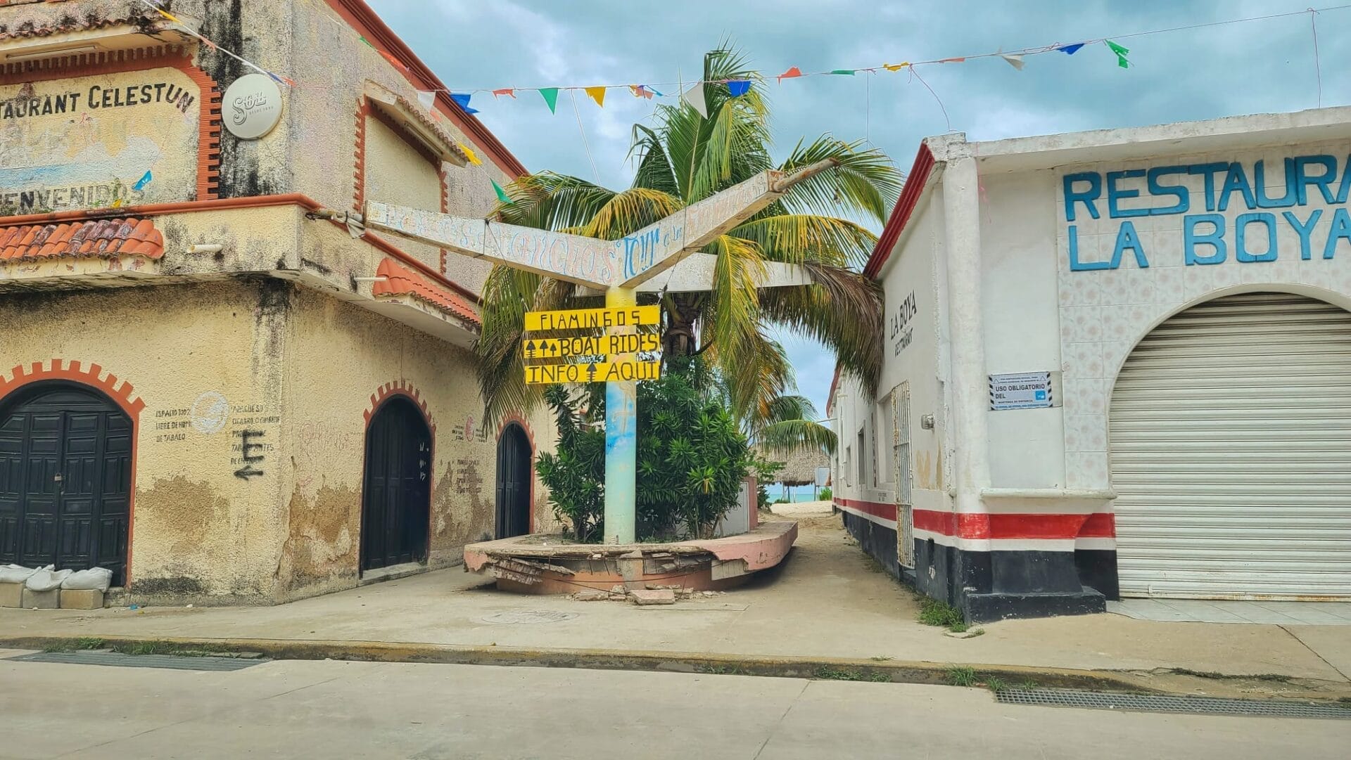 Celestun town - Where to see wildlife near Cancun, Mexico