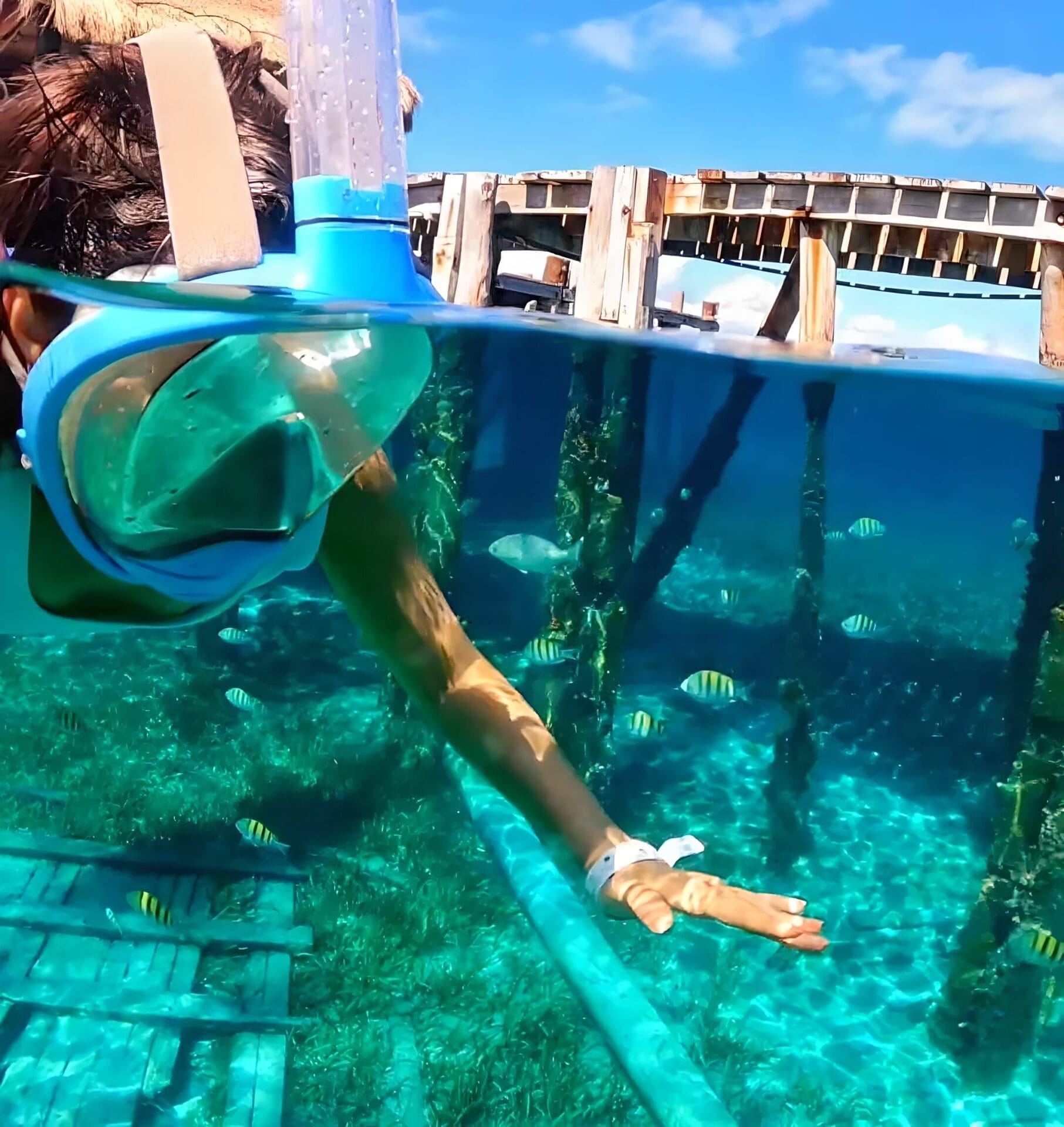 Isla Mujeres snorkel