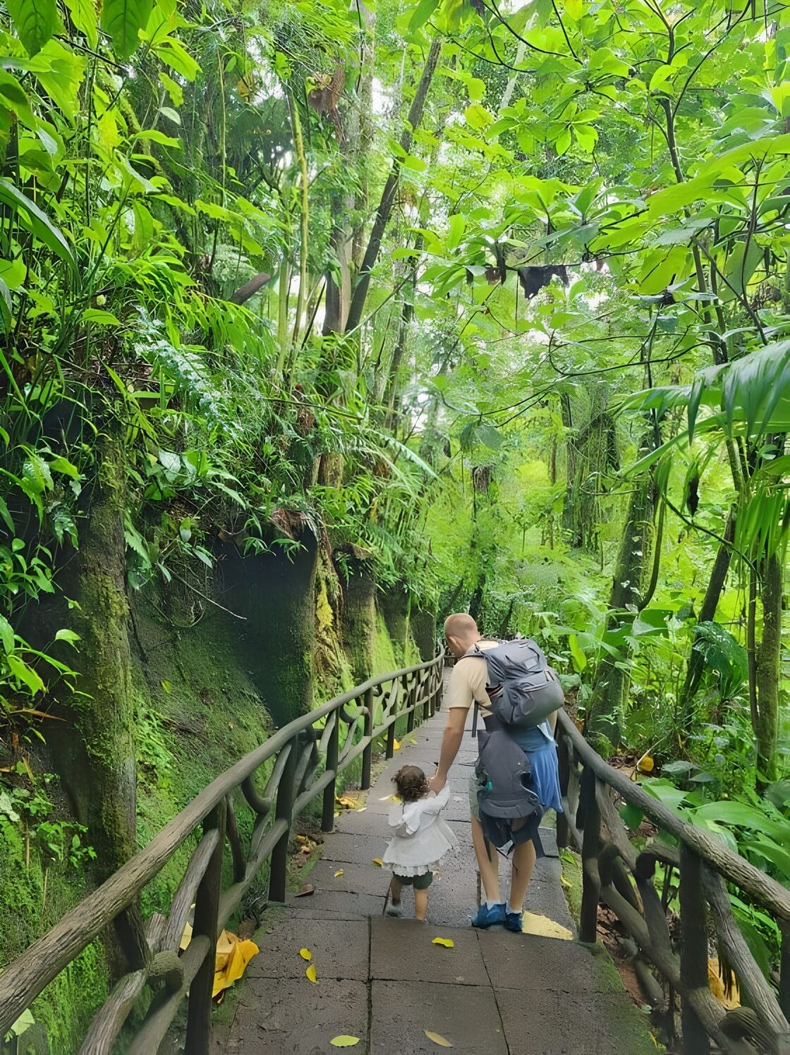 Peace Lodge Gardens Costa Rica Itinerary A man with a backpack holds a child's hand as they walk along a lush, green forest path at Peace Lodge in Alajuela, Costa Rica.