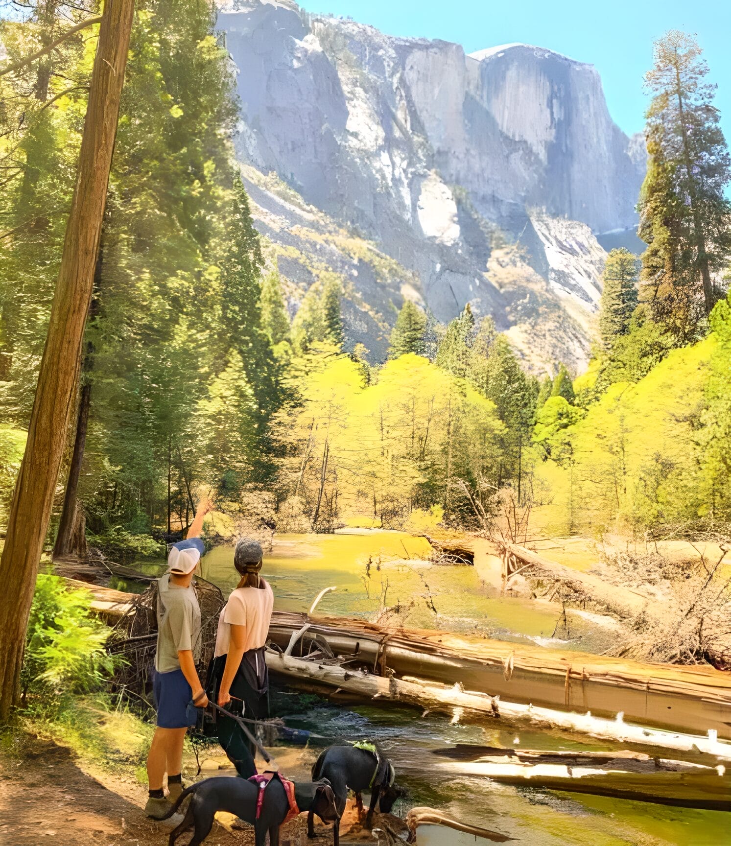 Yosemite Lodging - Staying with Pets