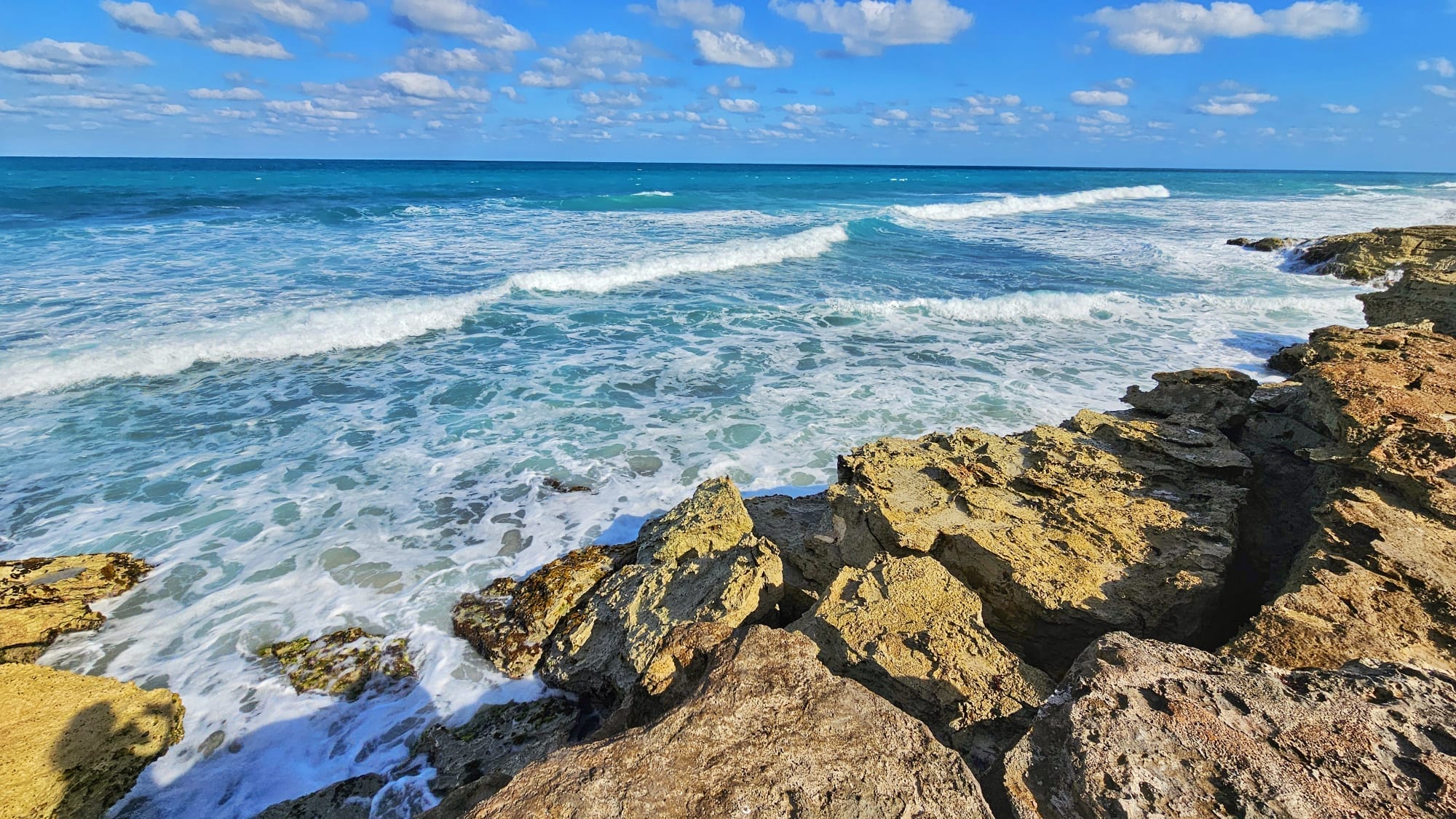 Cancun nature - Isla Contoy