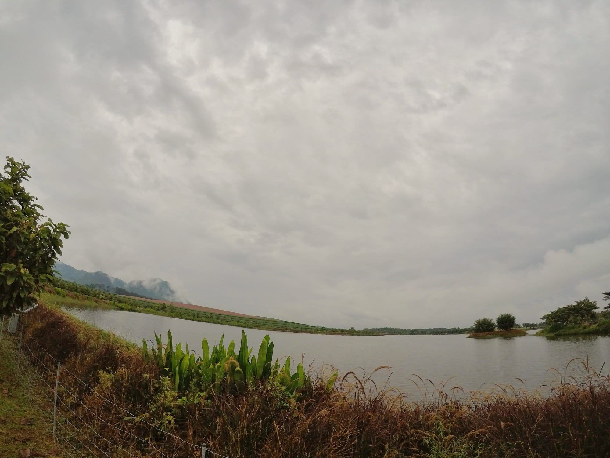 Chiang Rai Landscape