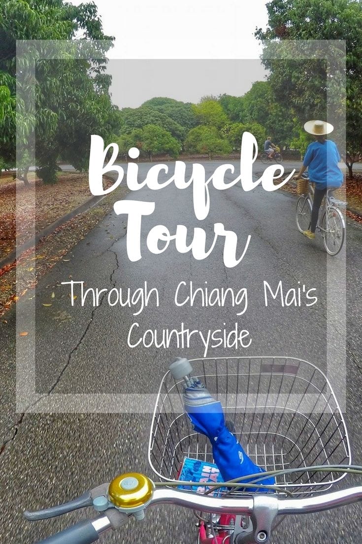 Cycling The Countryside – Chiang Mai Day Tour With TakeMeTour