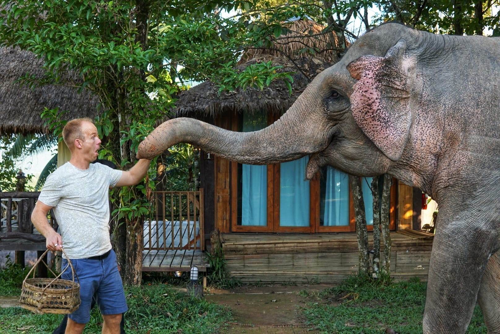 Elephant Sanctuary CM