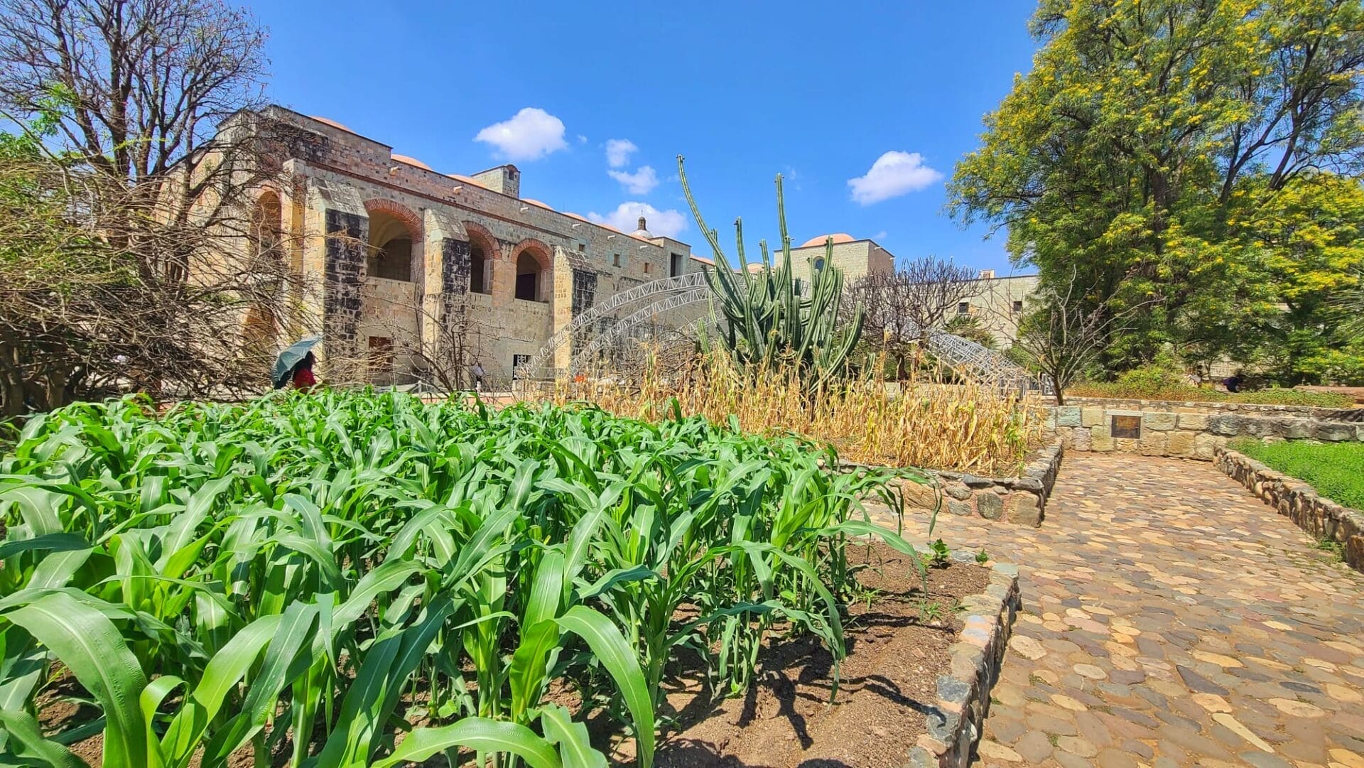 Oaxaca Botanical Garden - family itinerary