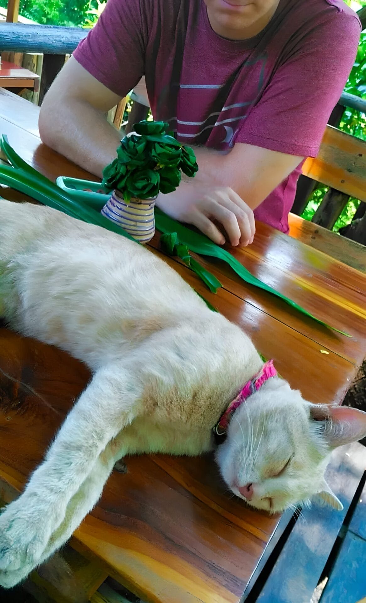 Rabeang Pasak Resort Chiang Mai Unique Hotel Rabeang Pasak Resort - Unique Hotel