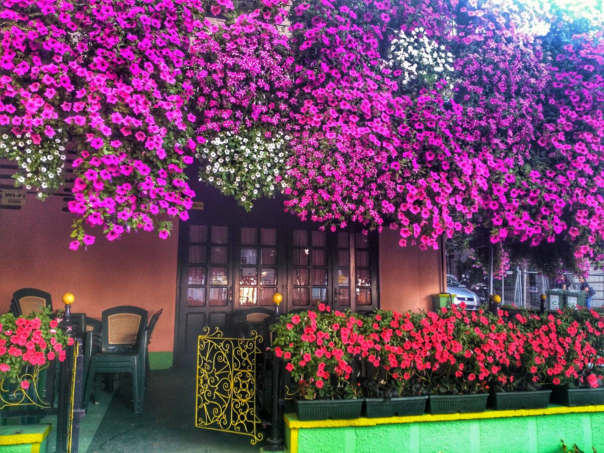 Skadrlija - what to see in Belgrade, Serbia Skadrlija - what to see in Belgrade, Serbia