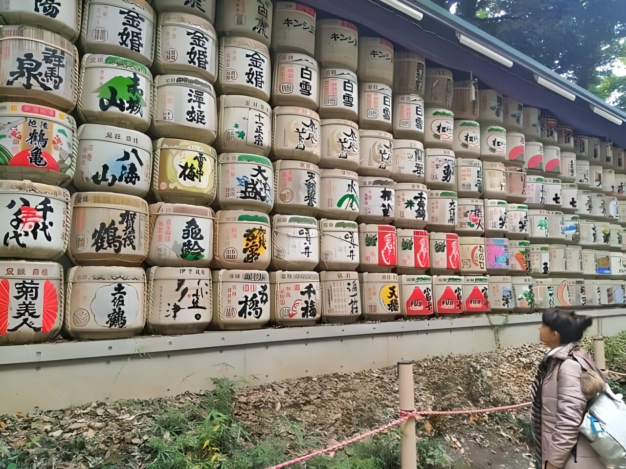 Tokyo in Two Day - Yoyogi Park Tokyo in Two Day - Yoyogi Park