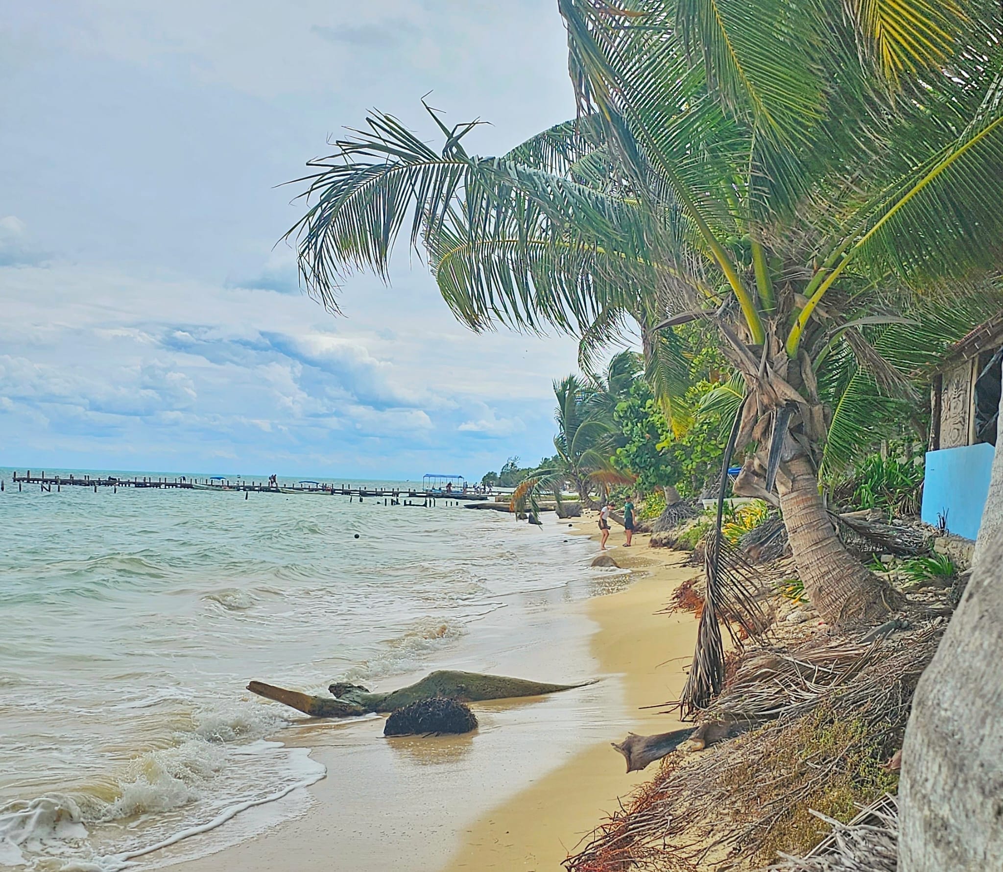 tour of Sian Kaan to see wildlife in Cancun