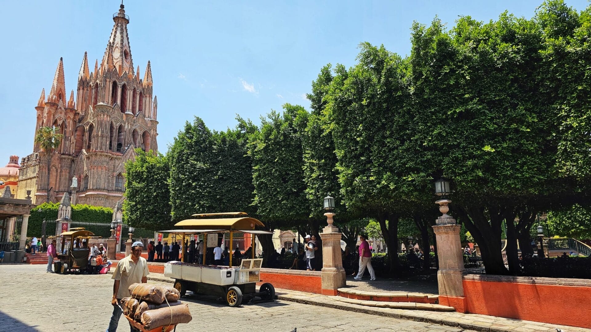 Jardin Allende and Cathedral