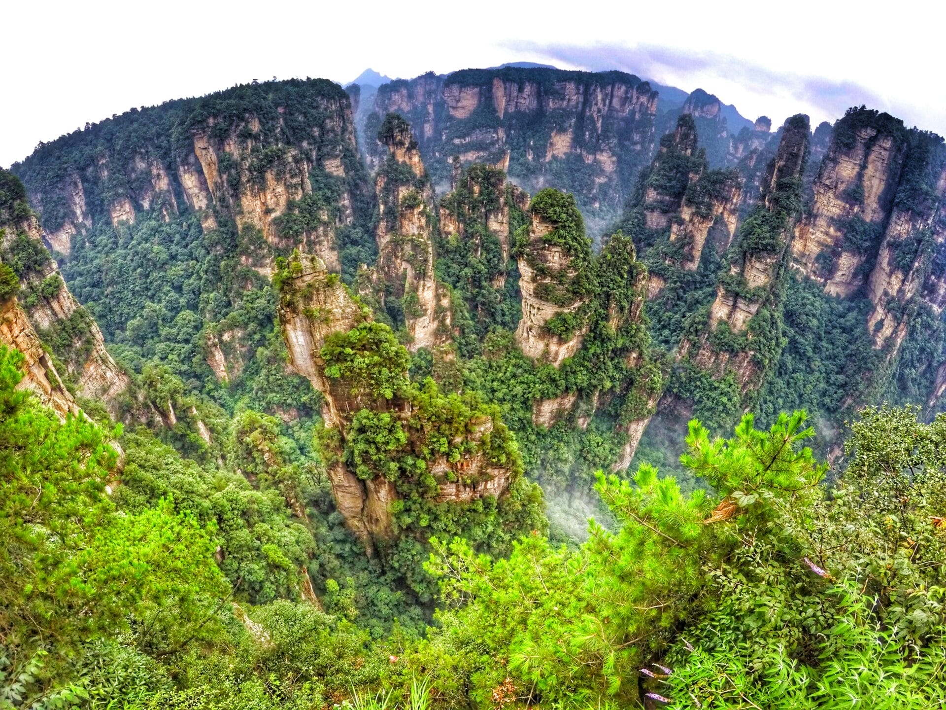 Quartz-Limestone Karst Pillars - Zhangjiejie National Forest, China