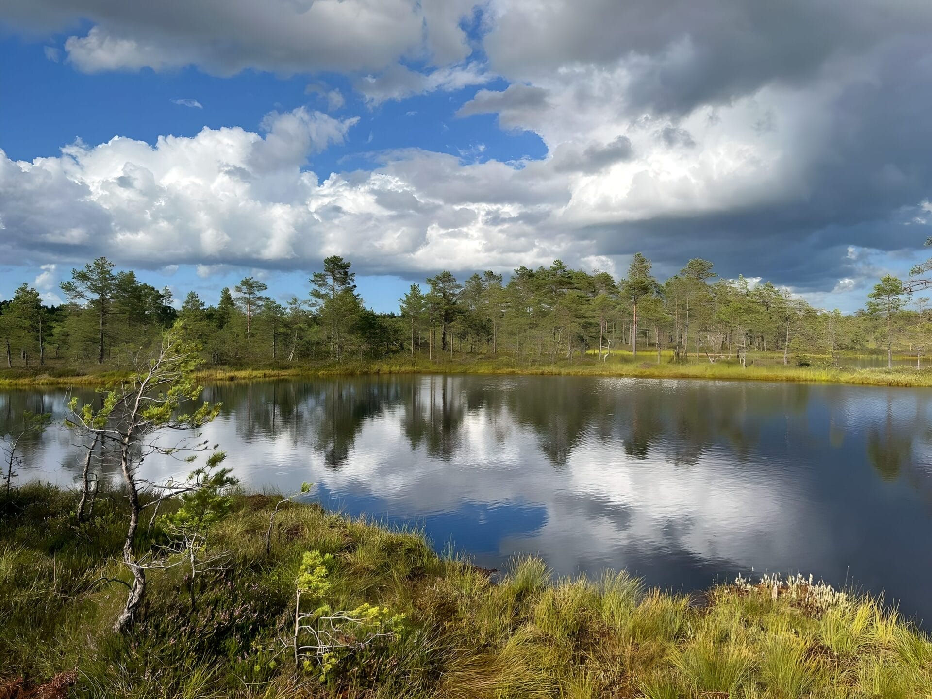 Scenic view of a calm lake surrounded by trees and grassy banks under a partly cloudy sky in Lahemaa National Park, Estonia.