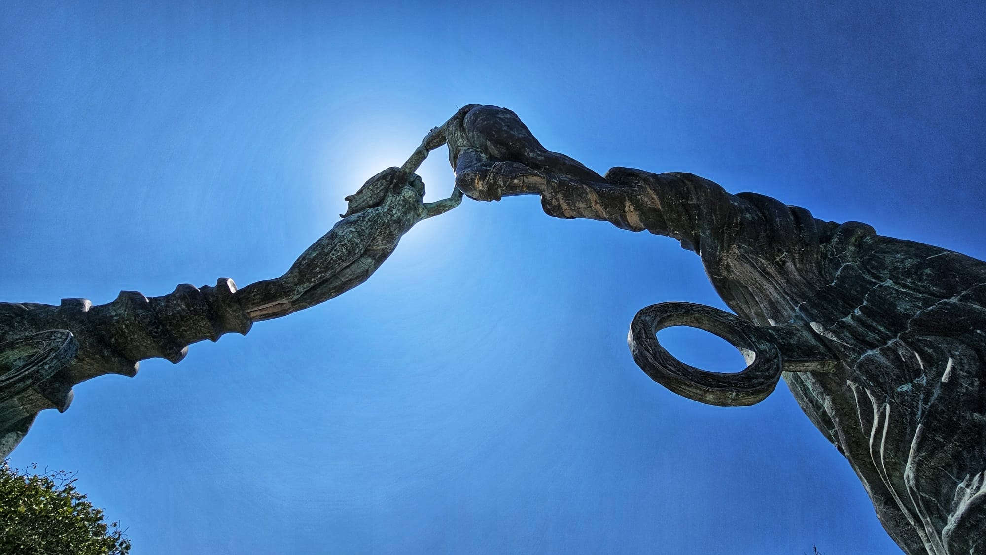 Drivers License Playa Del Carmen-Mexico