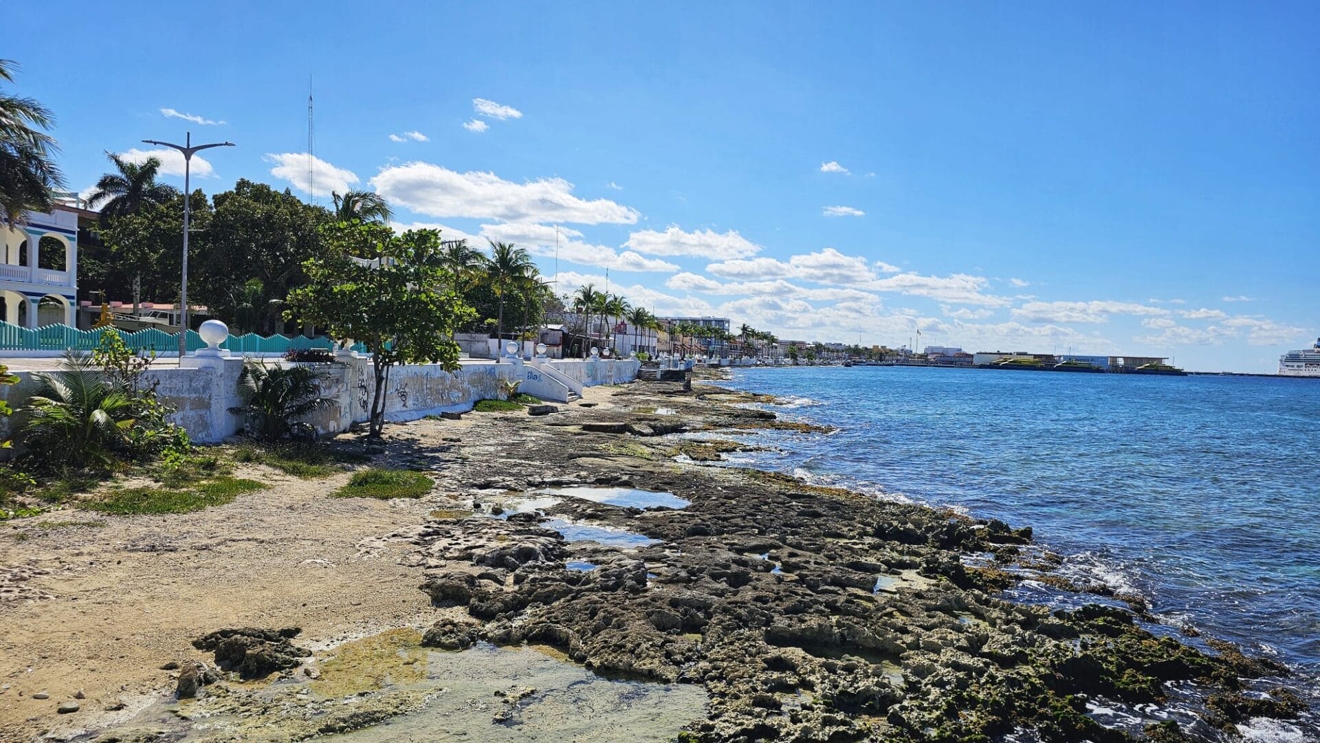 Scenic shoreline in Cozumel, Mexico with rocky coast, clear blue water, and buildings surrounded by palm trees.