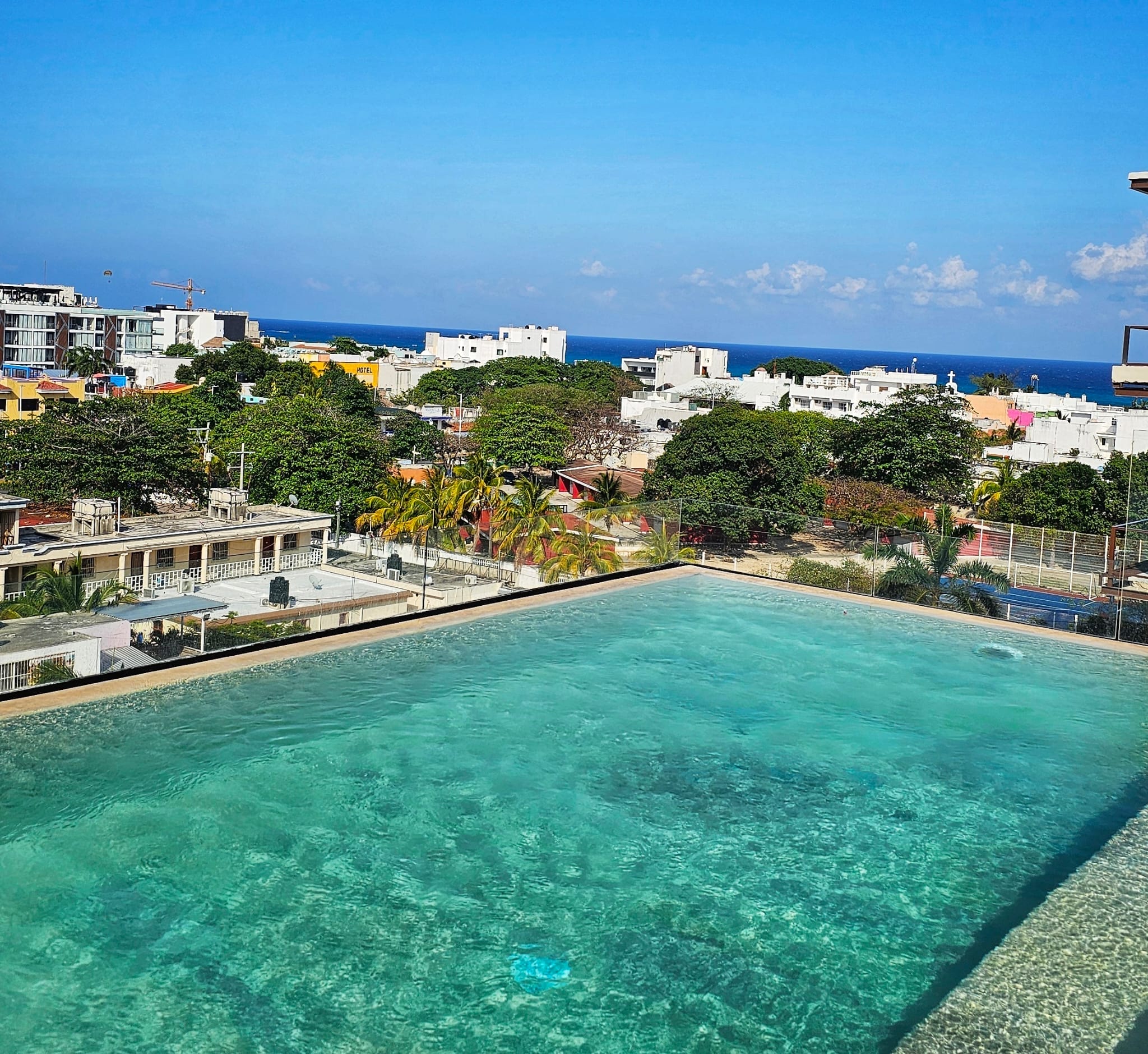 how to get a drivers license in Playa del Carmen Mexico