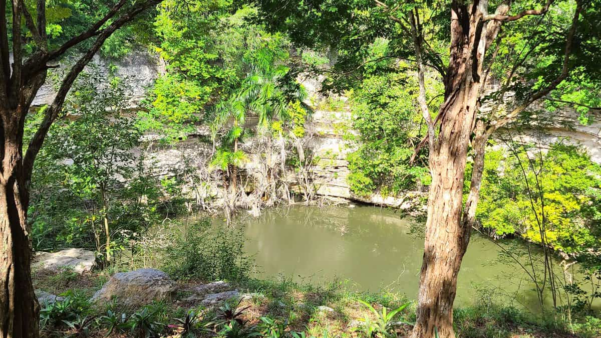Sacred Cenote in Chichen Itza, Mexico, surrounded by lush green trees and vegetation.