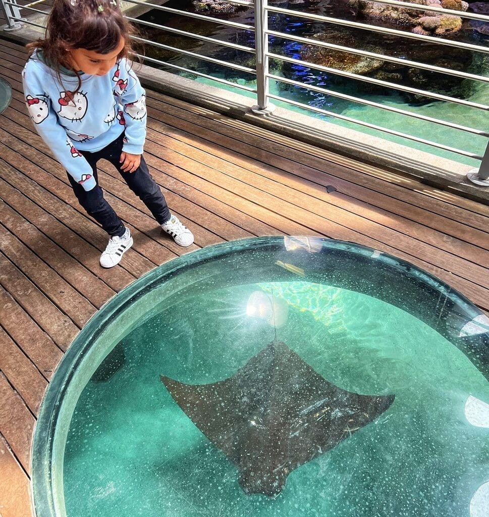 Bay Area activities for kids - San Francisco