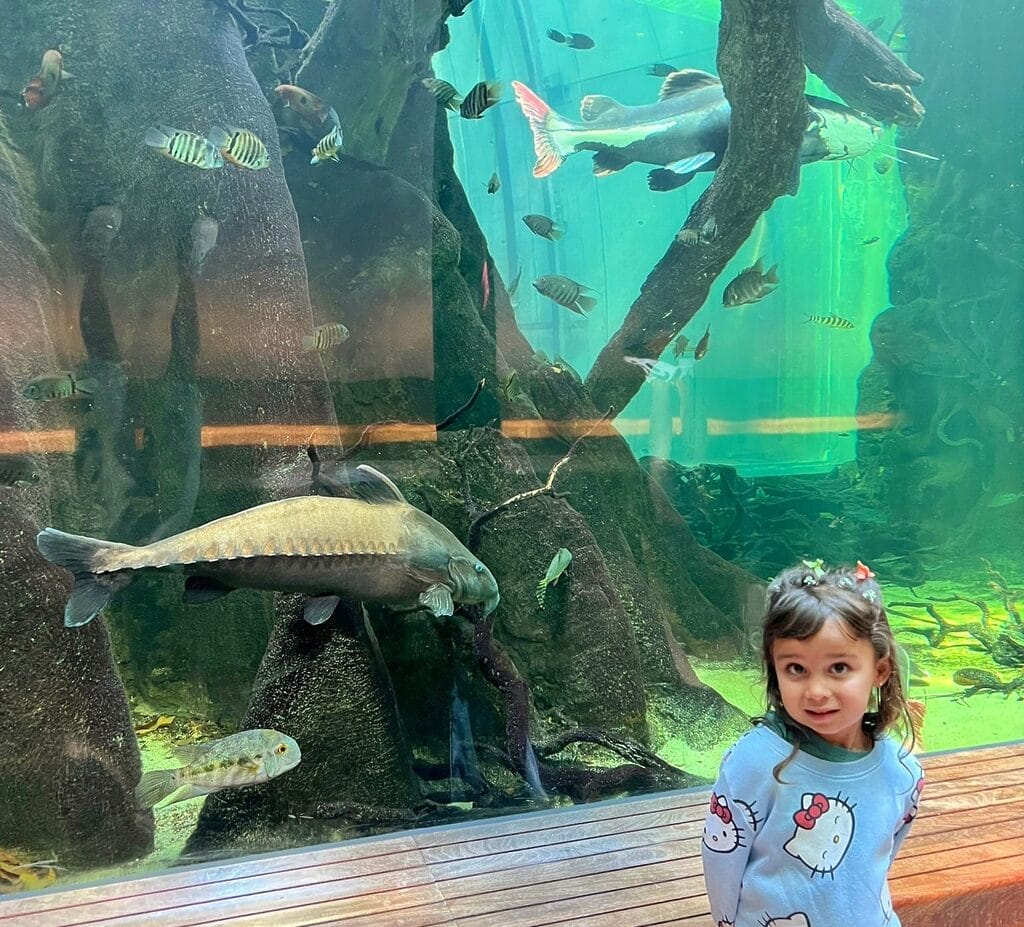 California Academy of Sciences - Bay Area kids activities