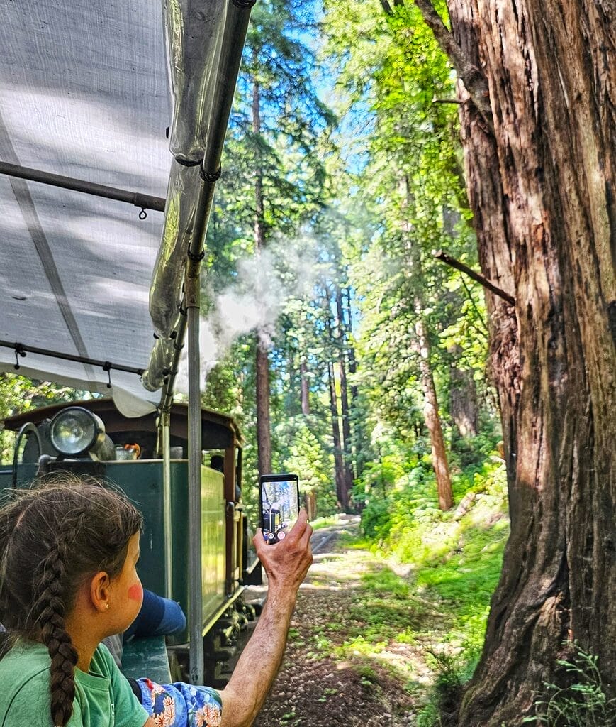 Santa Cruz steam train - Best Bay Area things to do with kids