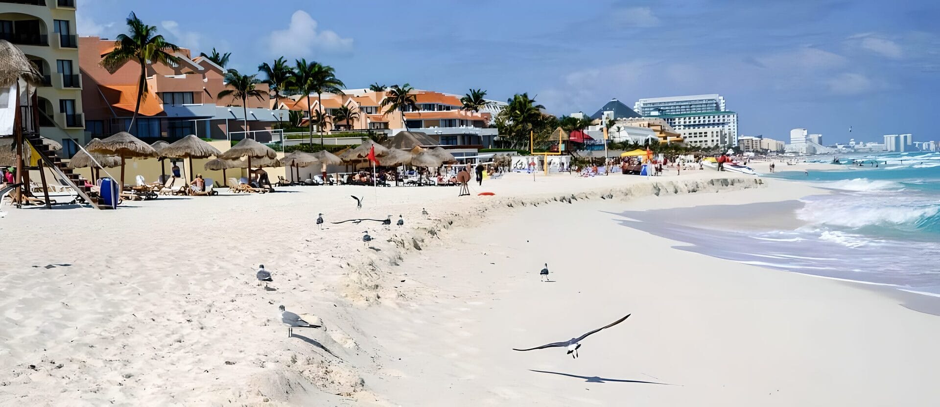Beachfront with thatched umbrellas and sun loungers in Cancun, Mexico, with buildings and palm trees in the background and seagulls flying over the white sandy shore.