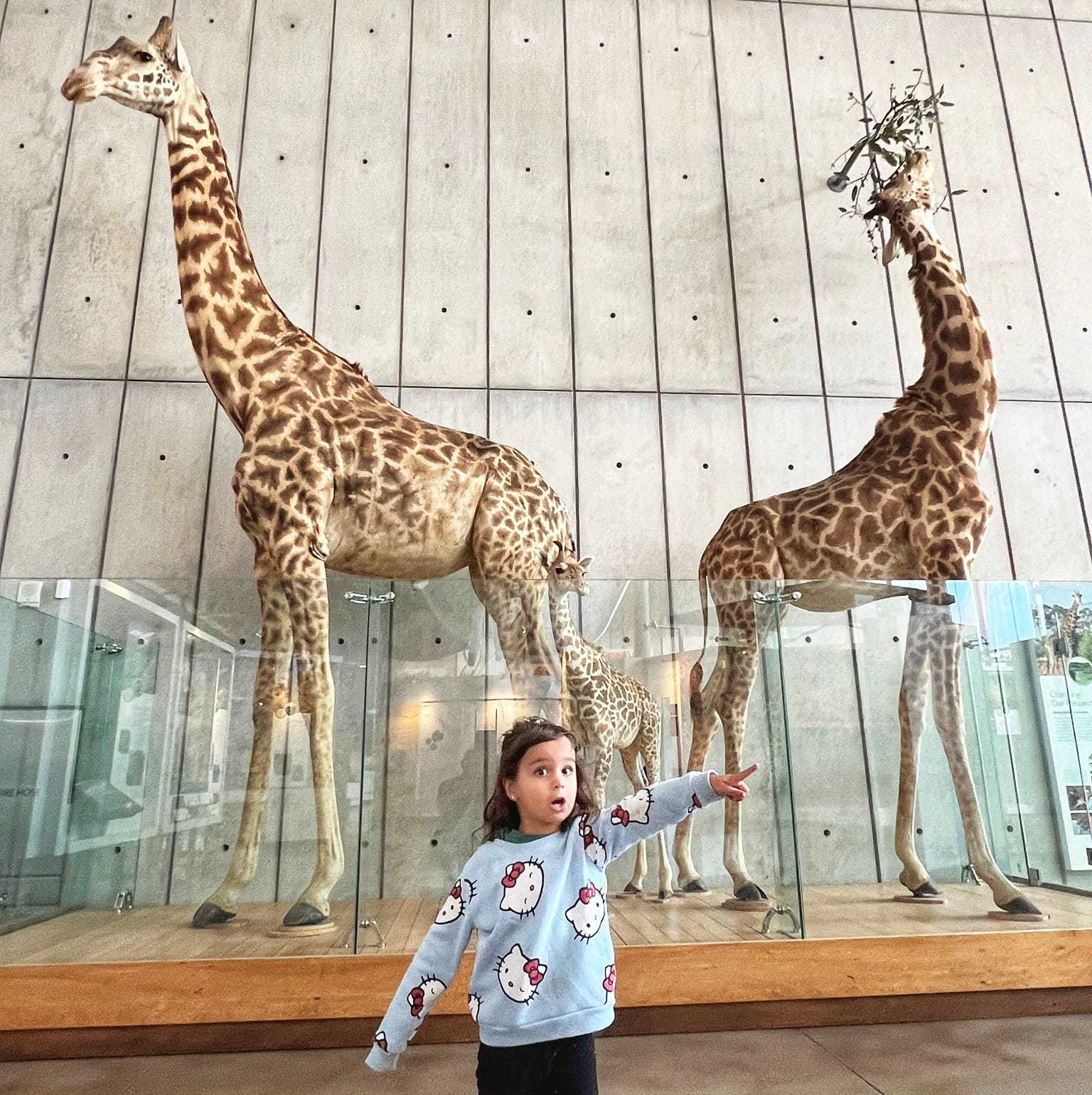 Adventures for Bay Area Kids: 7 Fun Activities in San Francisco Bay