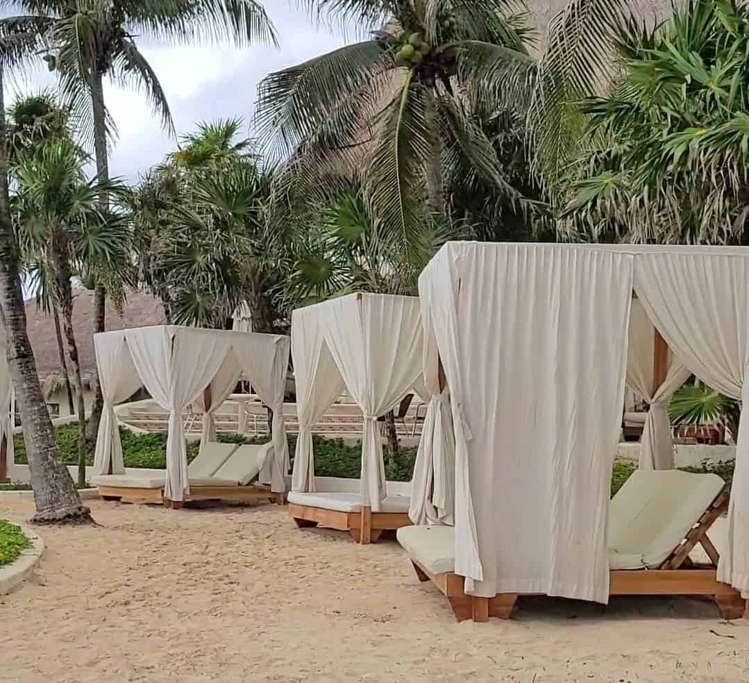 Luxurious beach cabanas with white drapes under palm trees in Puerto Morelos, Quintana Roo, Mexico.