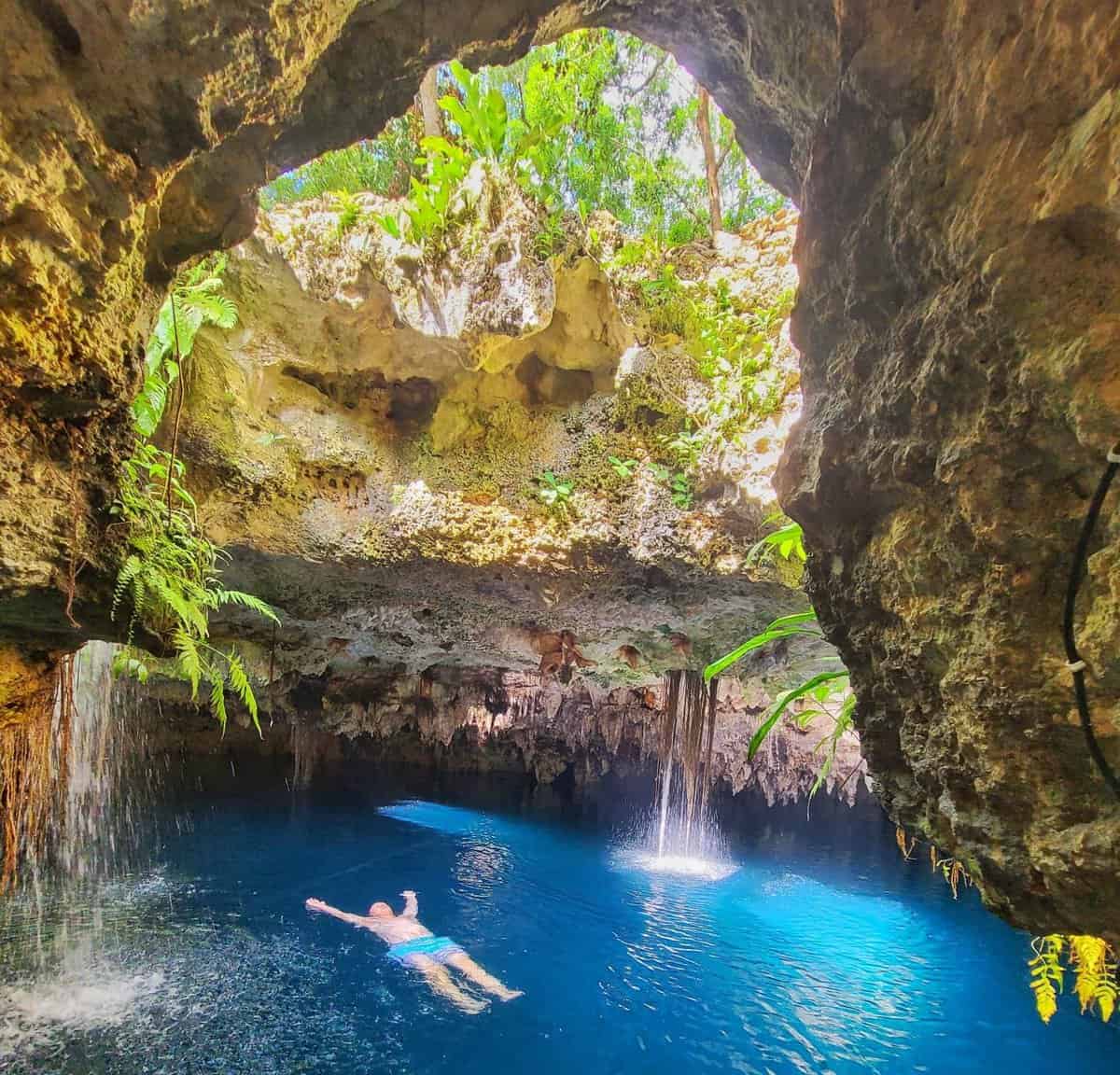 Cenote Elvira A person swimming in the clear blue waters of Cenote Elvira, surrounded by rocky walls with greenery and sunlight streaming from an opening above, near Playa del Carmen, Mexico.