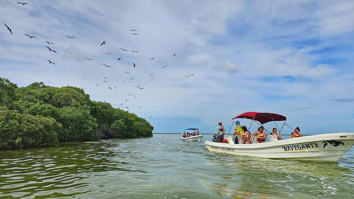 A group of people on a boat tour in the waters near Bird Island in Sian Ka'an, Quintana Roo, Mexico. The sky is filled with flying birds, and lush green mangroves are visible in the background.