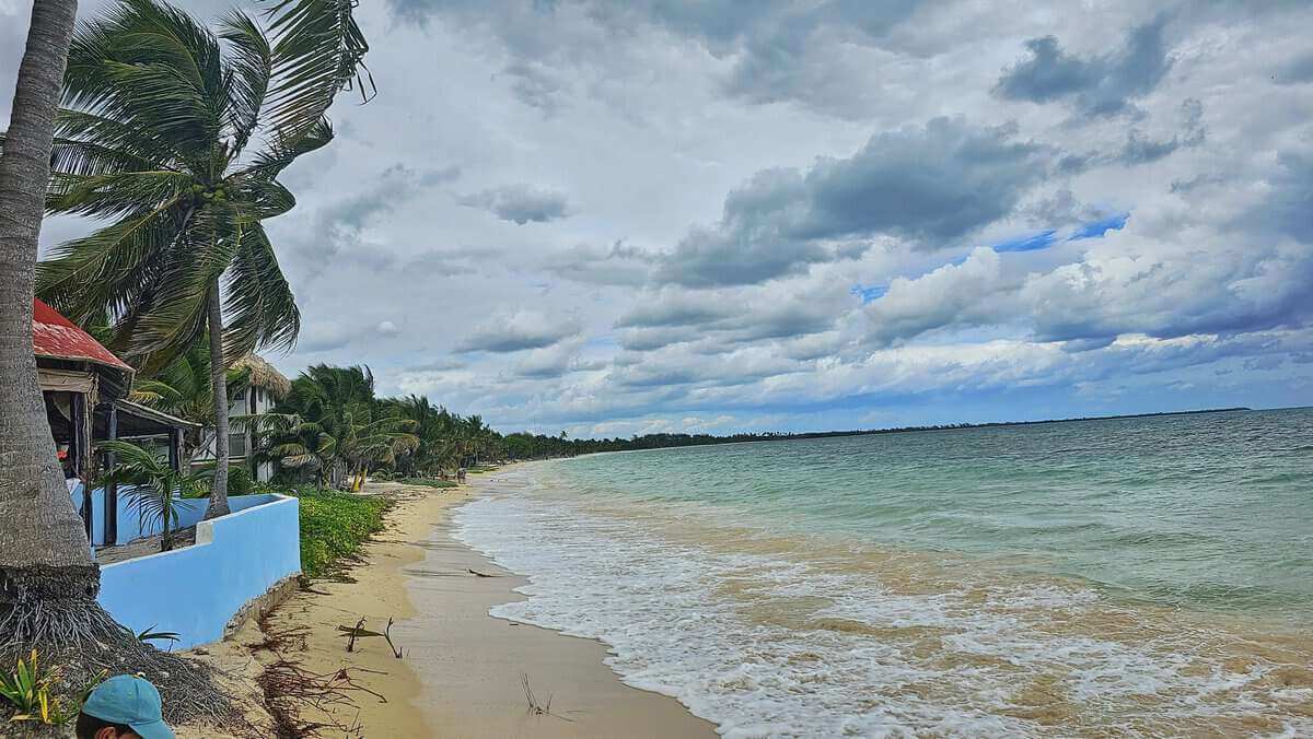 A scenic view of Punta Allen beach in Sian Ka'an, Quintana Roo, Mexico, featuring coconut palm trees, sandy shores, and the calm blue ocean under a cloudy sky.