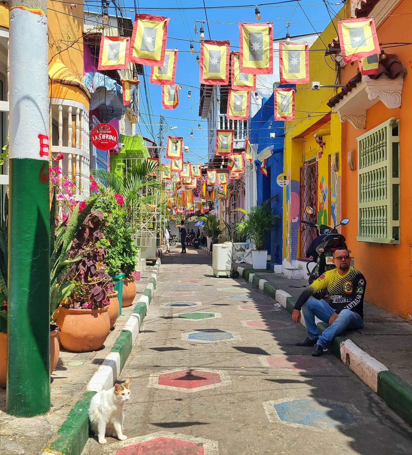Colorful street in Getsemani, Cartagena with vibrant flags hanging overhead, painted buildings, a man sitting on the sidewalk, and a cat near potted plants.