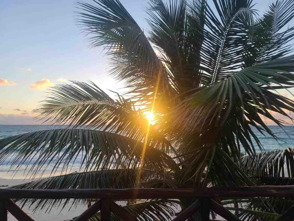 tulum vs playa del carmen Scenic sunset view through palm trees at a beach in Tulum, Mexico.