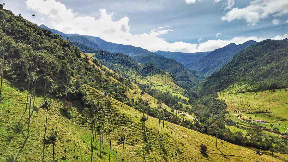 Velle De Cocora views