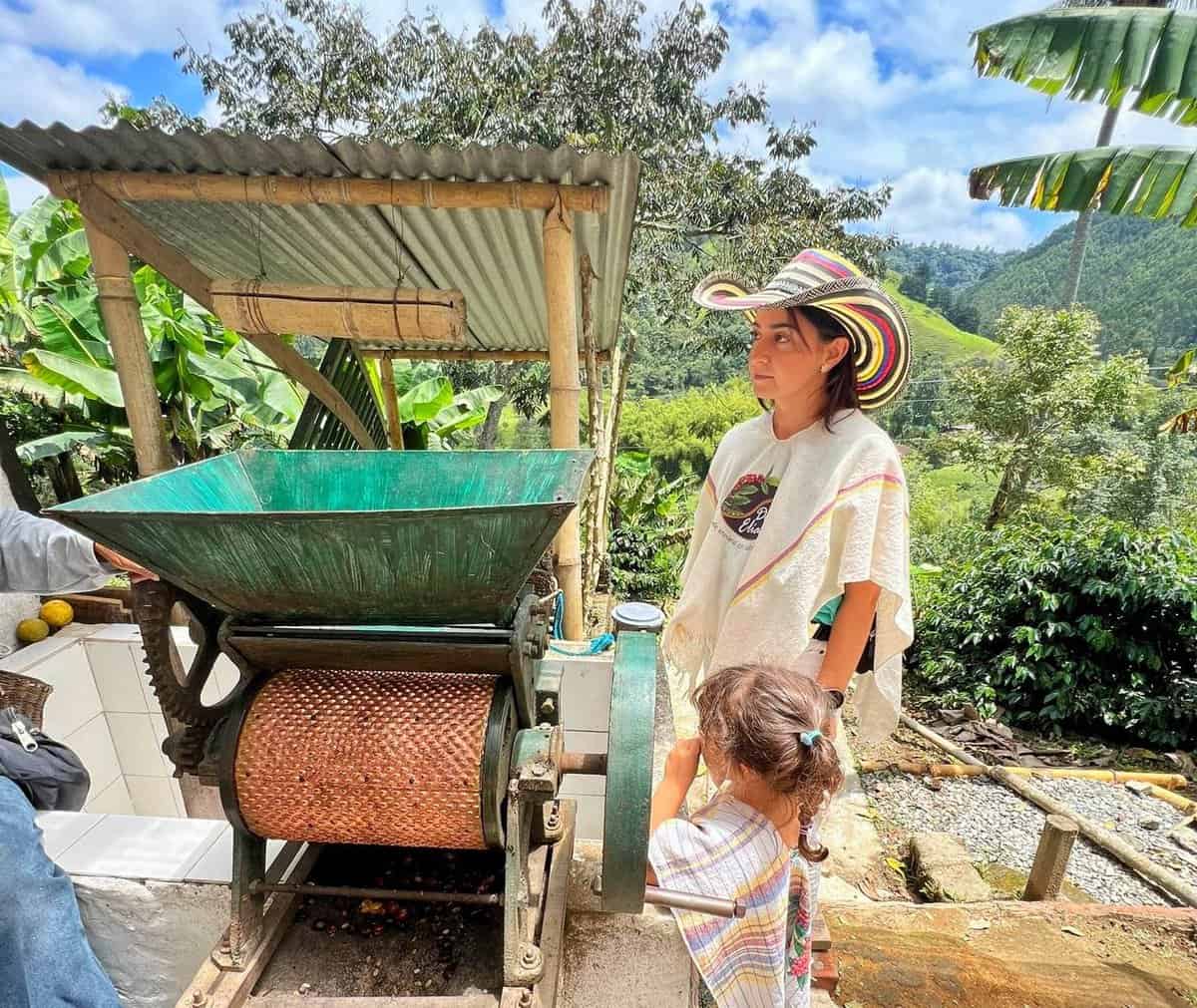 top activity in Salento Visit Coffee Finca