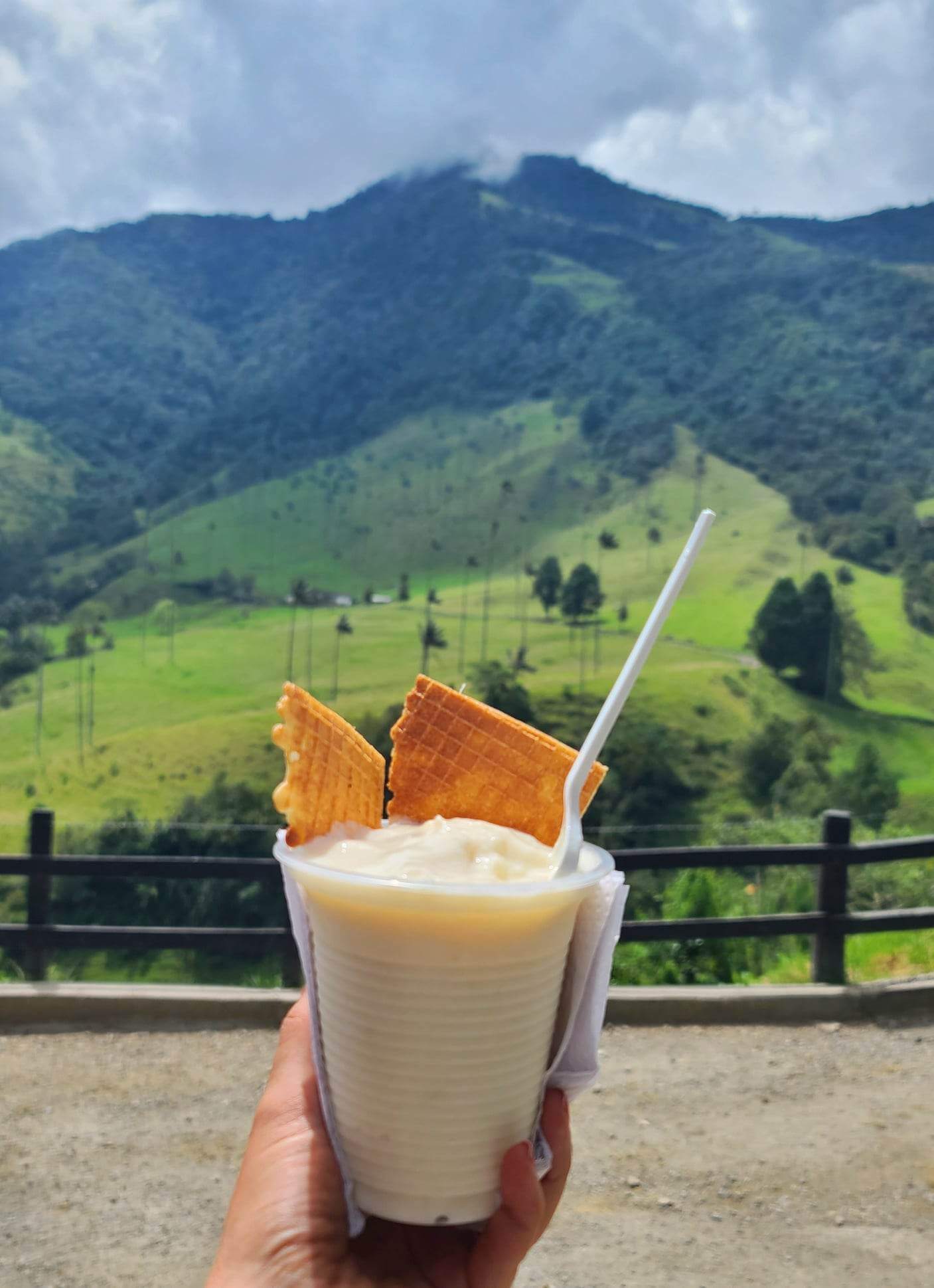 Soursop in a cup - Salento snack