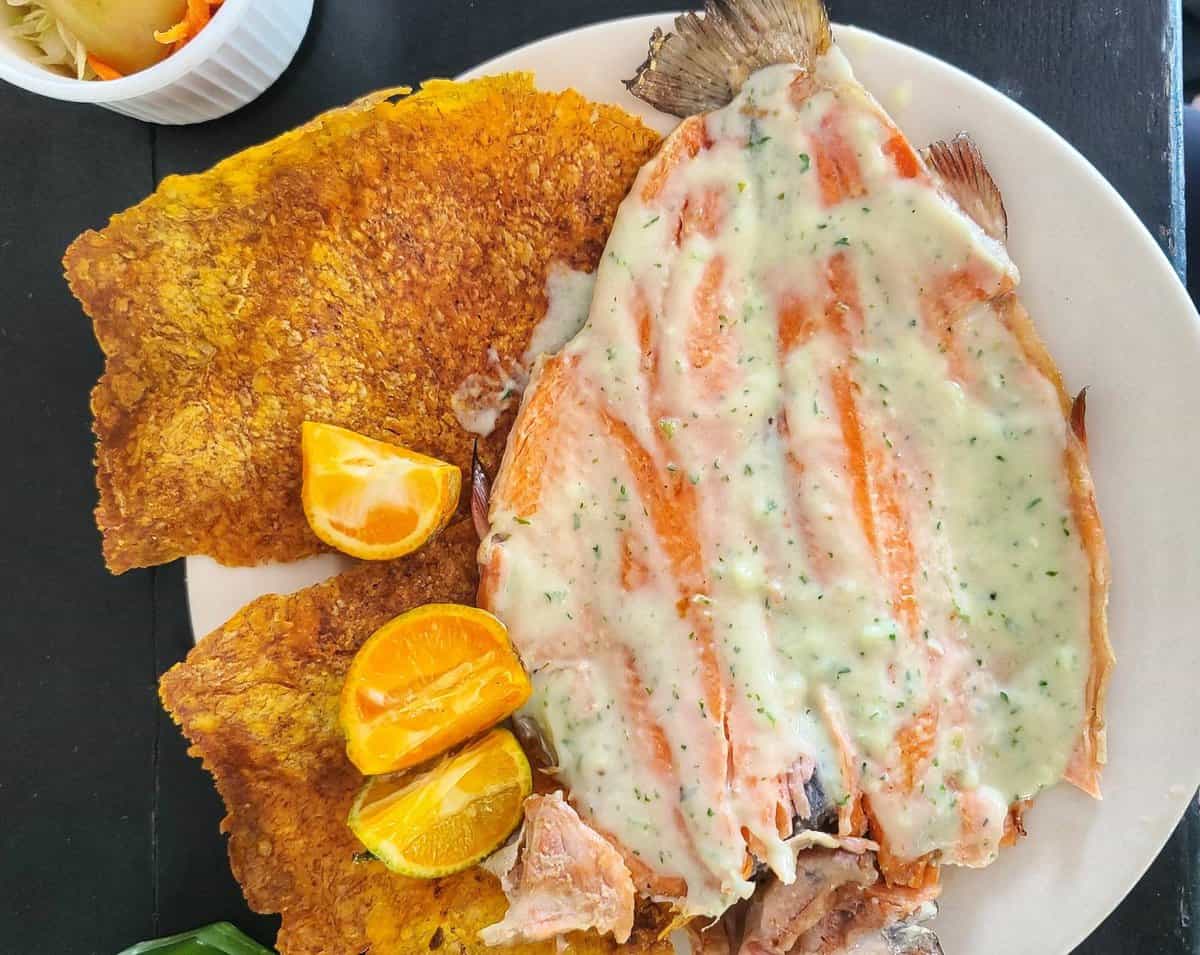 Eat trout in Salento Colombia
