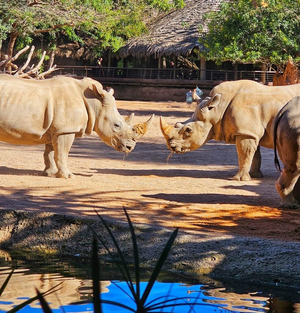 Biopark - 3 days in Valencia