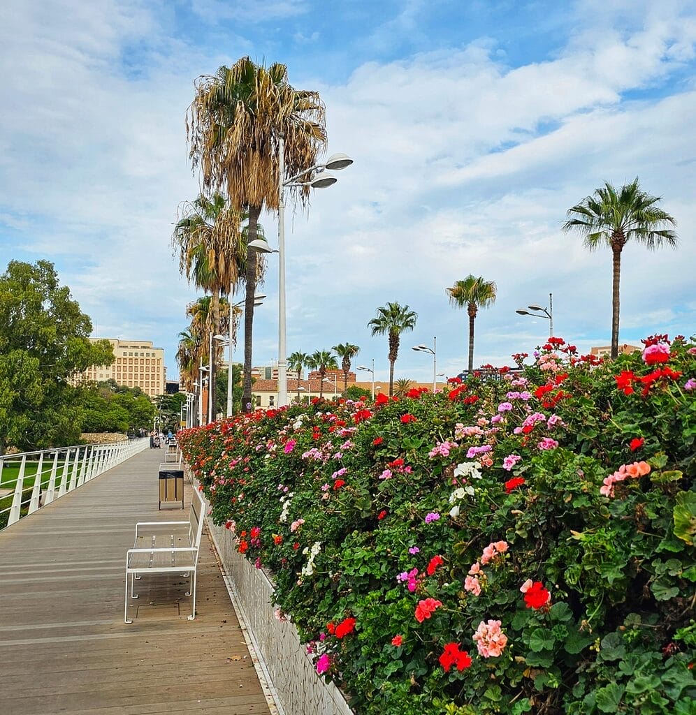 Flower Bridge - Valencia